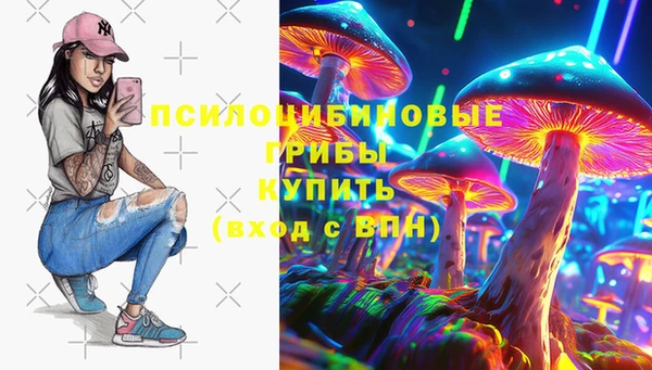 мескалин Переславль-Залесский