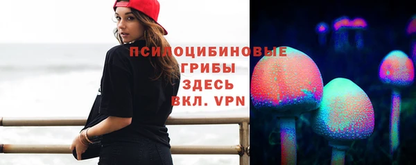 спайс Баксан