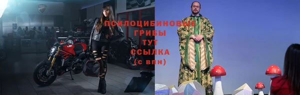 спайс Баксан