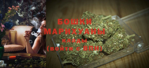 спайс Баксан