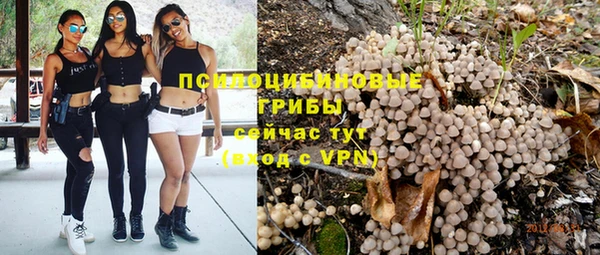 спайс Баксан